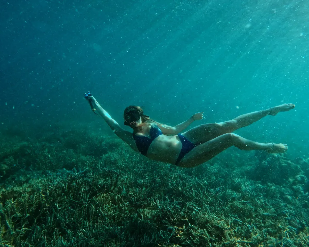 Best Komodo Island Liveaboard Dive Sites 2026 (Part 11)