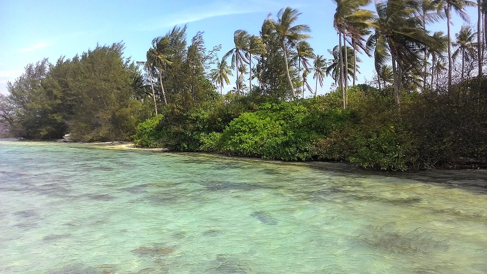 Exploring West Bali National Park: A Private Cruise Adventure in 2027